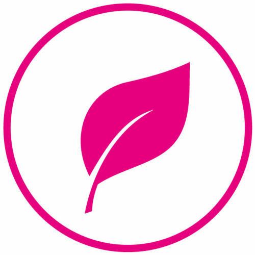 equipe-environnement-2Mo